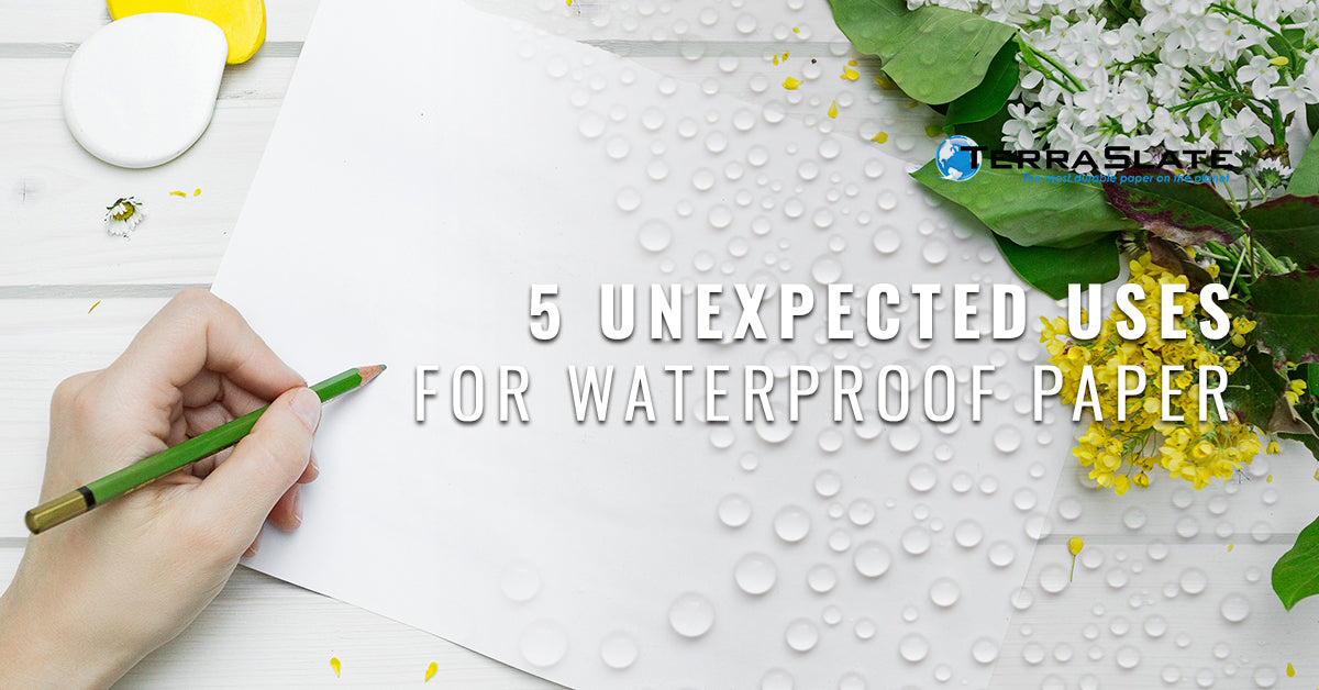 5 Unexpected Uses For Waterproof Paper