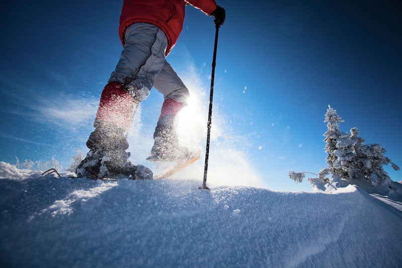 Snowshoeing: Document Your Next Winter Excursion